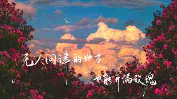 马斯克“作呕”的“大而美”法案 白宫说特朗普会坚持下去